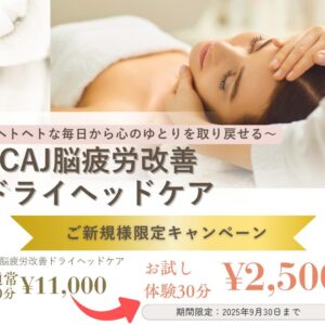 ヘトヘトな毎日から心のゆとりを取り戻せる〜脳疲労改善ドライヘッドケア